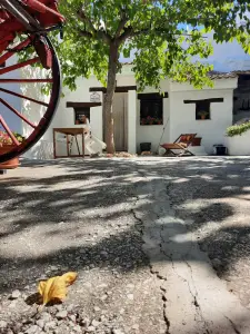 Jacquelien 10 Kom je zo thuis